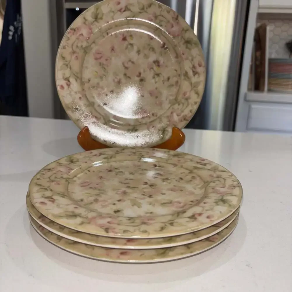 222 Fifth Savannah by Cheri Blum Stoneware Salad Plates Set of 4